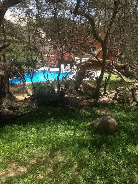 Hospedaje Rocha Ίκα Εξωτερικό φωτογραφία
