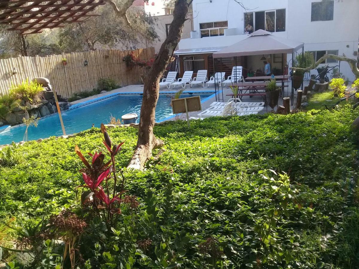 Hospedaje Rocha Ίκα Εξωτερικό φωτογραφία
